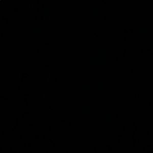 Meet your Posher, Noel